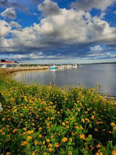 Willow House Inn B&B Pictou Dış mekan fotoğraf